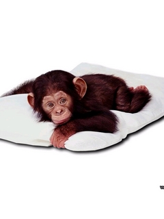 Other Wallpapers 0608